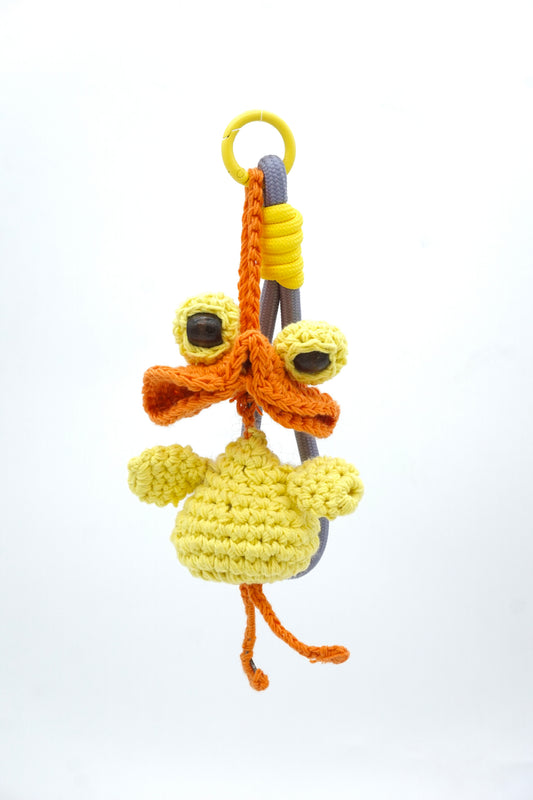 Grumpy Little Duck