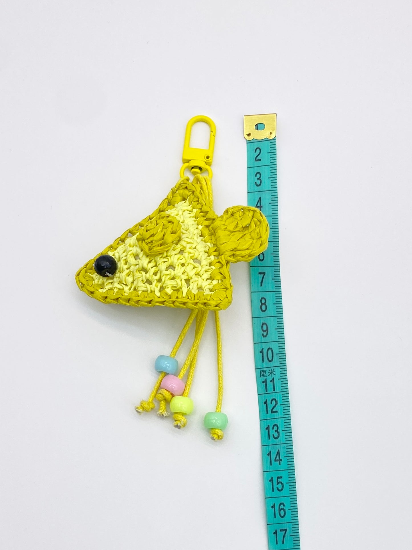 Pastel Reef Angelfish